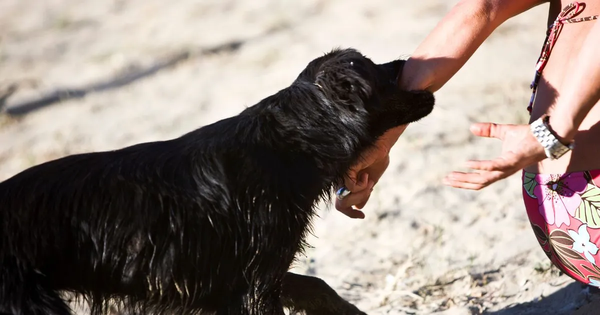 Woman getting bit by a dog